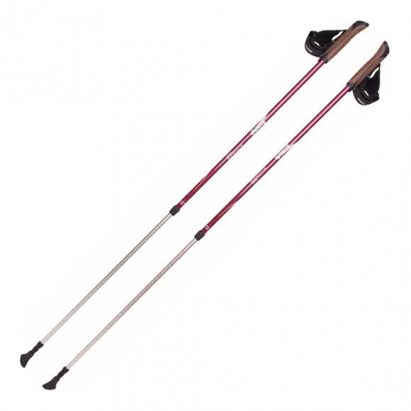 Палки для скандинавской ходьбы Fitness TRR-011