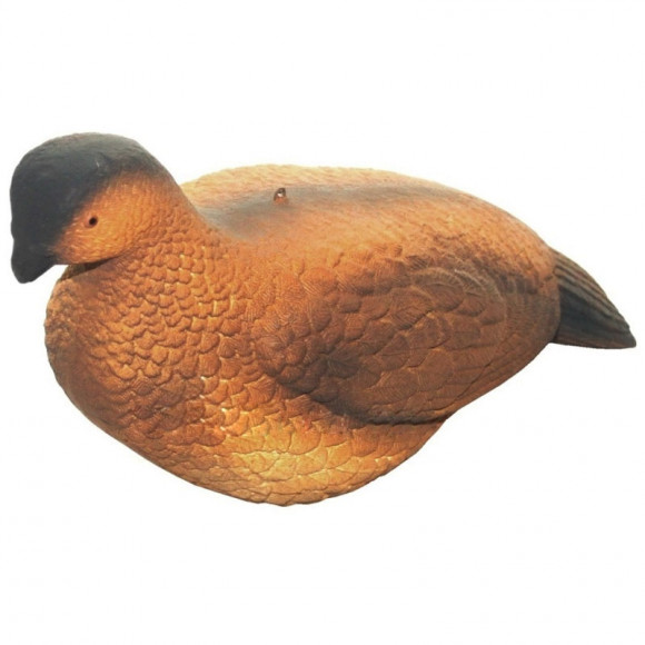 Чучело Тетерка - Самка, пенопласт Чучело Тетерка - Самка, пенопласт