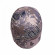 Шапка Remington Ease Figure RM1545-993 Шапка Remington Ease Figure RM1545-993