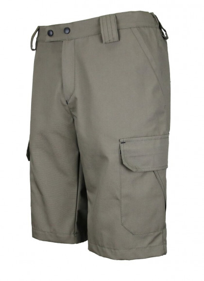 Шорты Elemental Dragon-2 (Canvas/хаки)