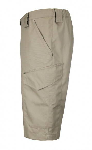 Шорты Elemental Titan (Canvas/бежевый) Шорты Elemental Titan (Canvas/бежевый)