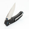 Нож складной Firebird (FB7631-BK) by Ganzo черный