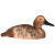 Чучело Красноголовый нырок - Утка, Рельеф, пенопласт