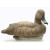 Чучело 62 Breite Красноголовый нырок - Утка, пластик