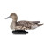 Чучело 62 Breite Шилохвость - утка