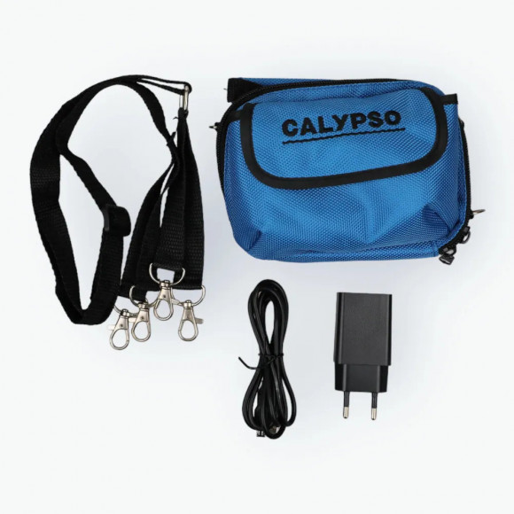 Подводная камера Calypso UVS-04