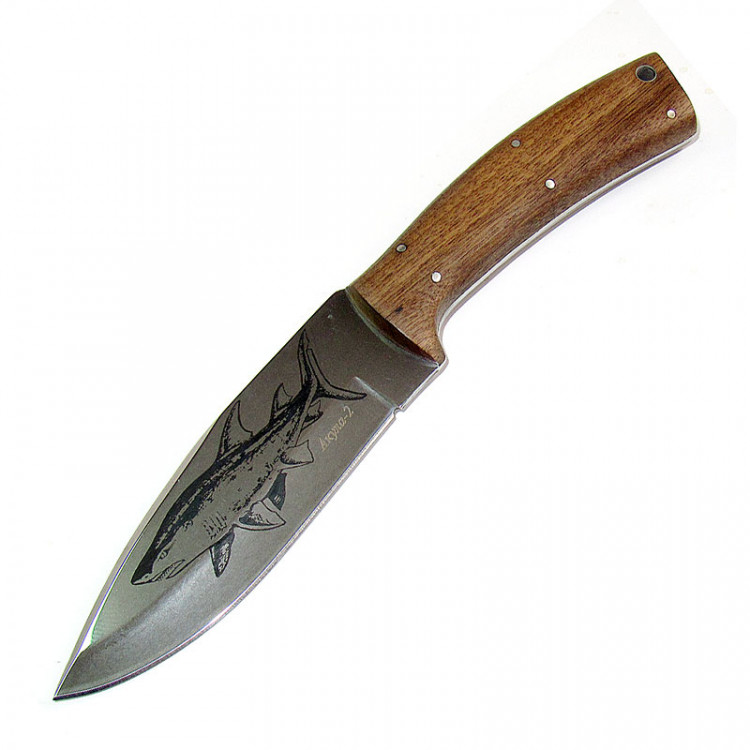Нож Кизляр Акула-2 дерево-орех, сталь AUS-8