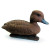 Чучело Чернеть Хохлатая - Утка, пластик