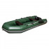 Лодка Енисей-Бот Бирюса-325, надувное дно, под мотор 8 л/с