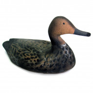 Чучело Шилохвость - Утка, Рельеф, пенопласт Чучело Шилохвость - Утка, Рельеф, пенопласт