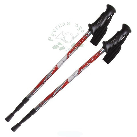 Палки треккинговые Tramp Scout (TRR-009)