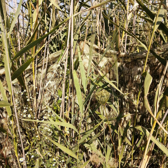 Сеть маскировочная ДУ 2,5*1,47м