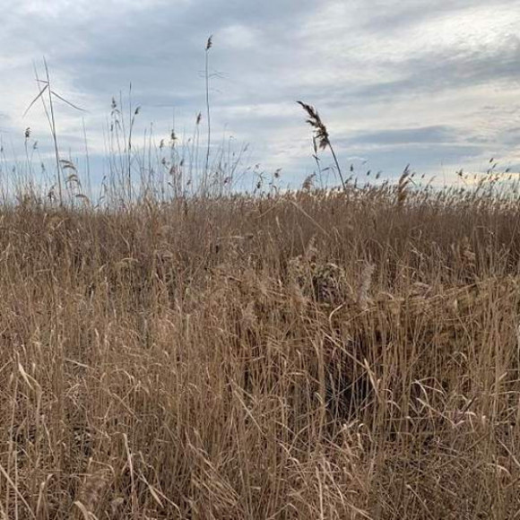 Сеть маскировочная ДУ 2,5*1,47м