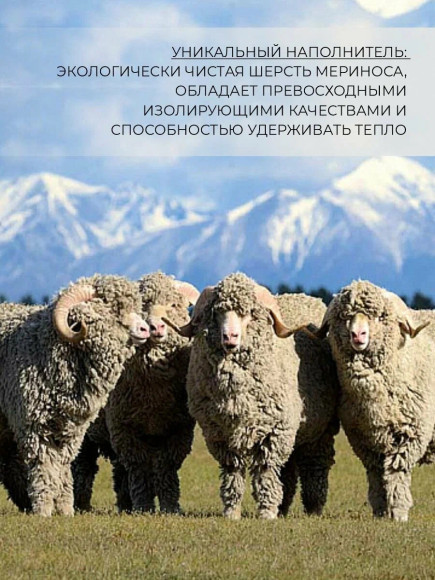 Спальный мешок-одеяло Русская охота, меринос 400, широкий с подголовником (235х85), фланель Спальный мешок-одеяло Русская охота, меринос 400, широкий с подголовником (235х85), фланель