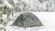 Палатка Talberg FOREST PRO 3 (камуфляжный) Палатка Talberg FOREST PRO 3 (камуфляжный)