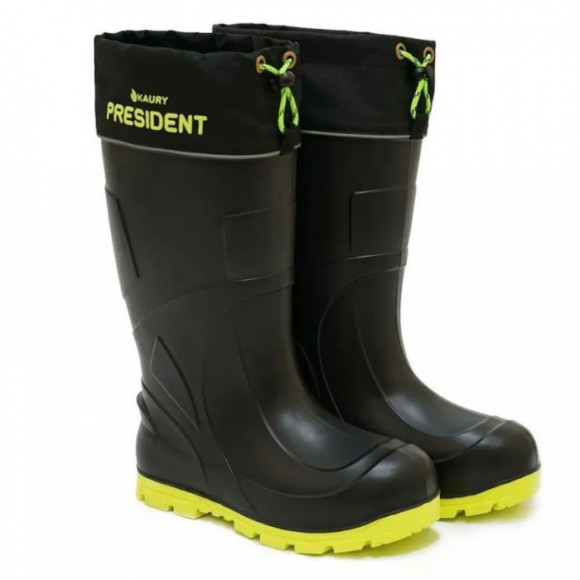 Сапоги зимние KAURY  President  -65`C